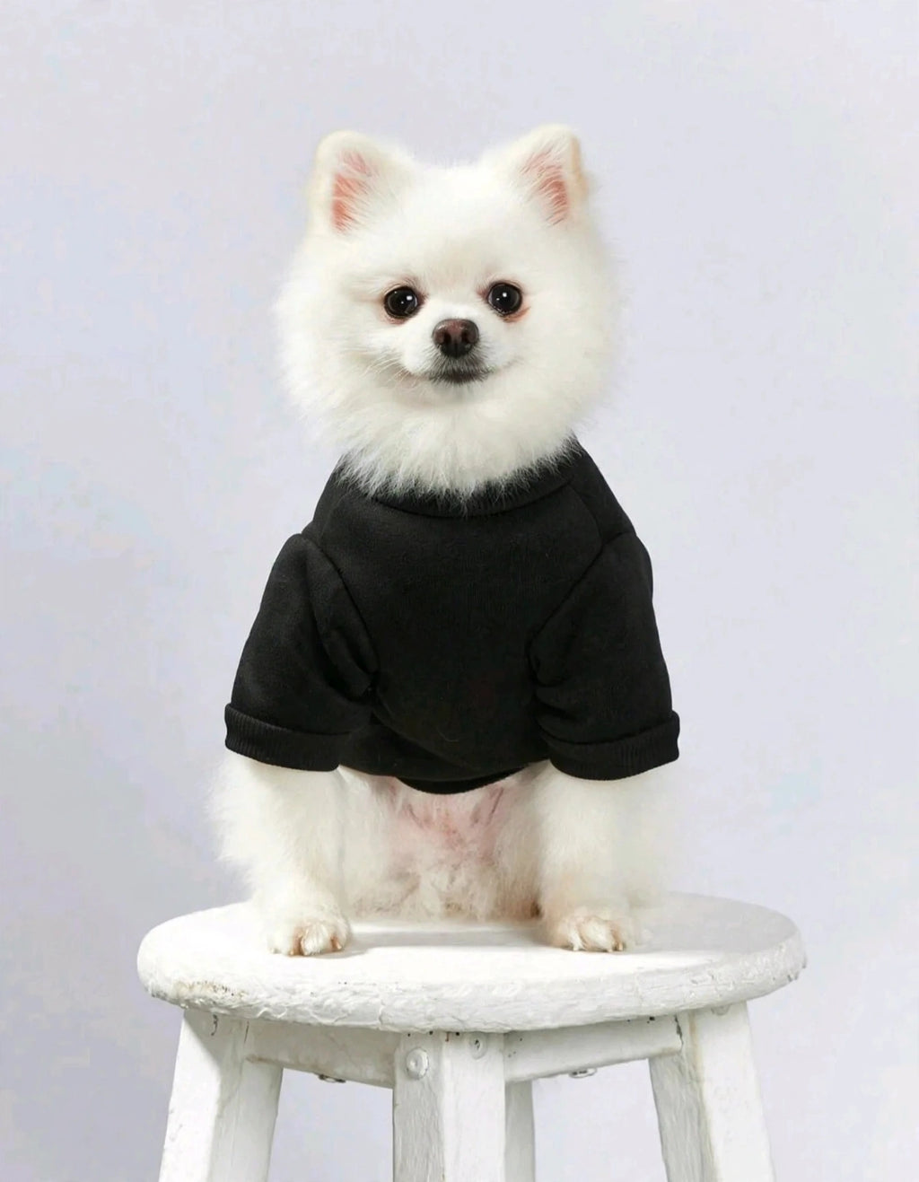Street 1pc Black Crown & Letter Print Pet Pullover Sweatshirt - King of The House