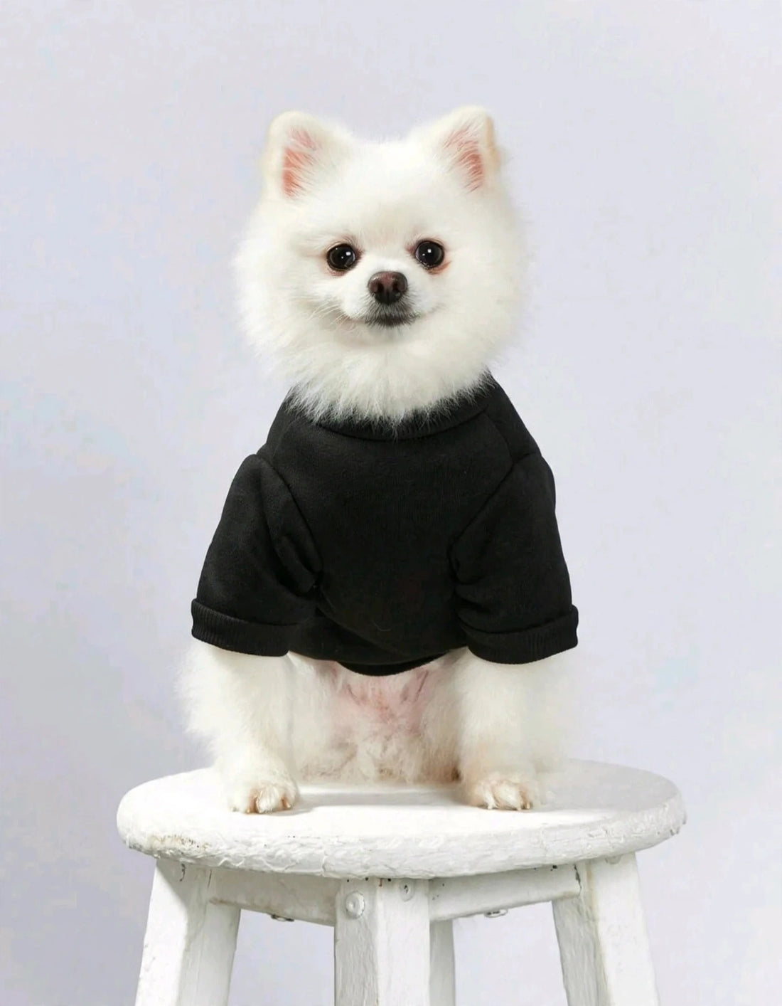 Street 1pc Black Crown &amp; Letter Print Pet Pullover Sweatshirt - King of The House